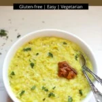 Instant Pot Khichdi