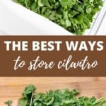 How to store cilantro