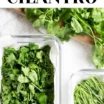 How to store fresh cilantro