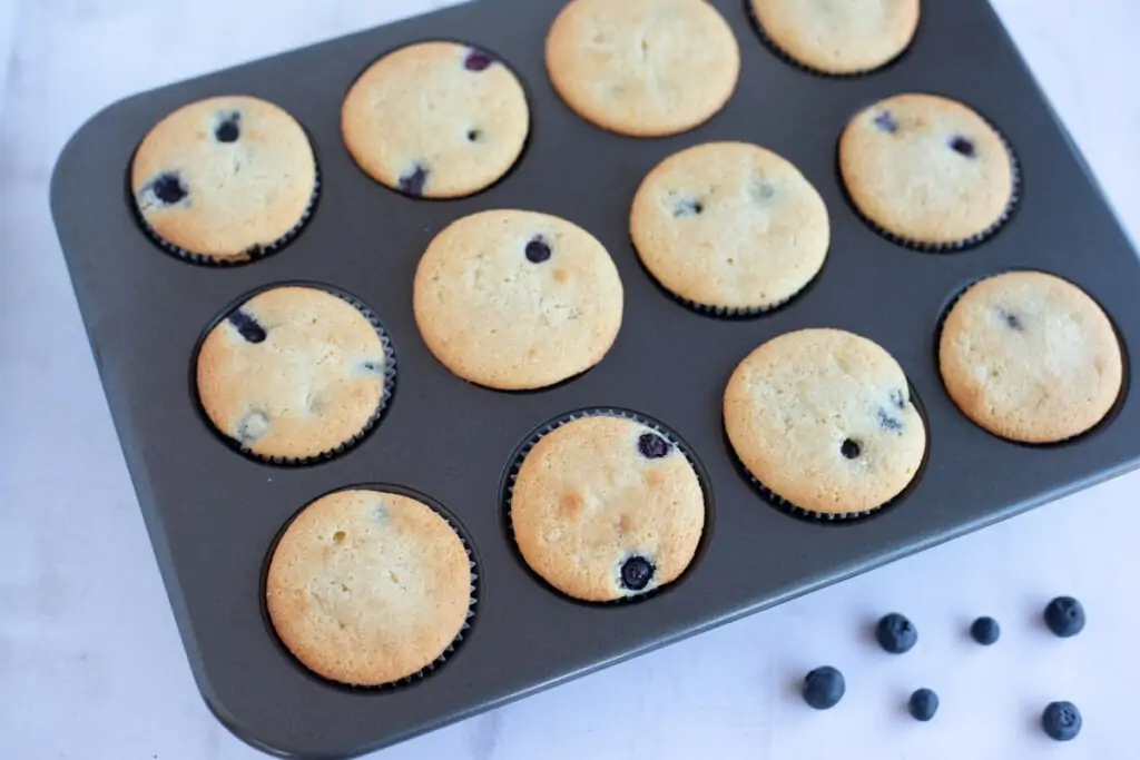 Baked blueberry muffins in a 12-count muffin pan