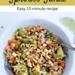 Sprouted Mung Bean Salad