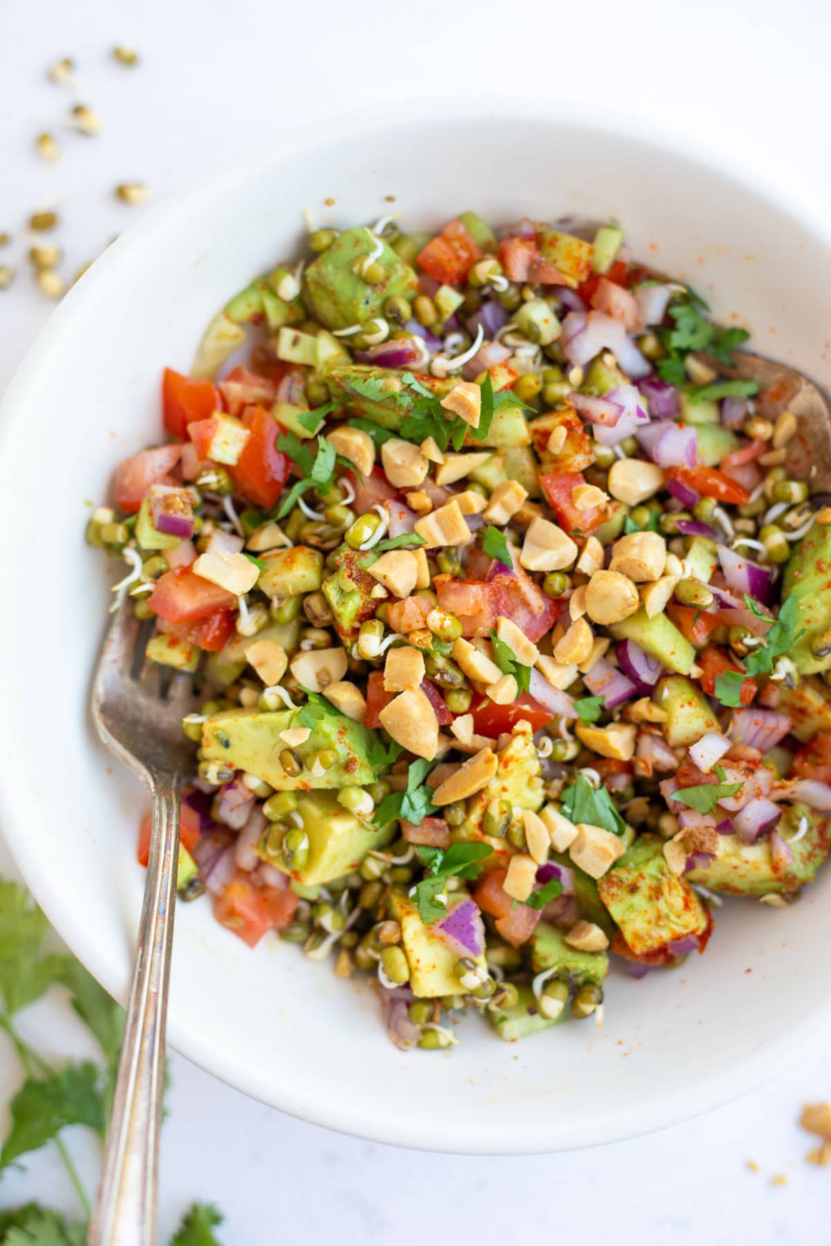 Protein sprouted beans salad in a bowl topped with chopped peanuts. 