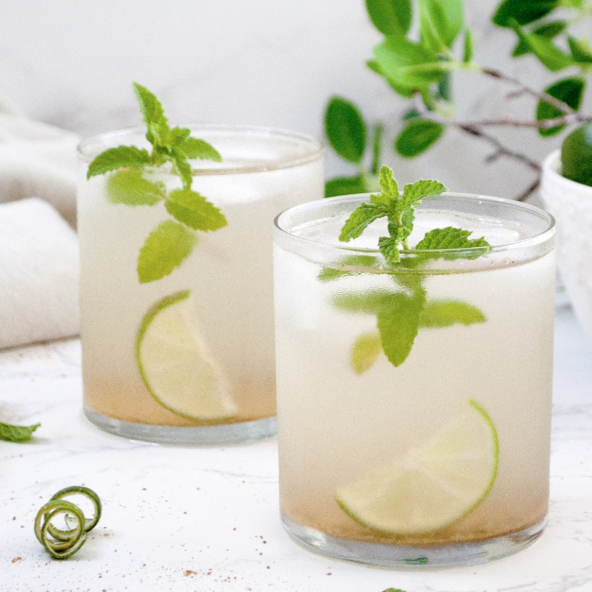 shikanji nimbu pani in 2 glasses garnished with mint leaves