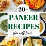 20 Best Paneer Recipes