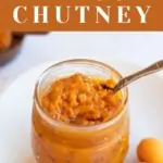 Fresh Apricot Chutney