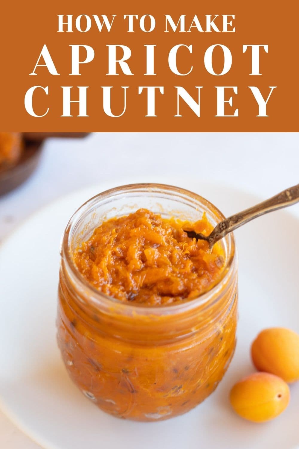 Fresh Apricot Chutney - Piping Pot Curry