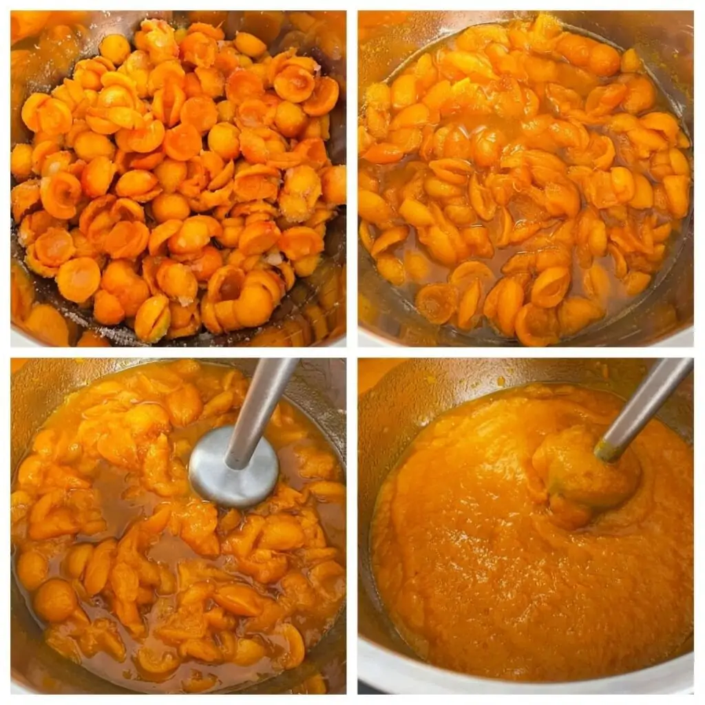 steps for how to make apricot jam in the instant pot
