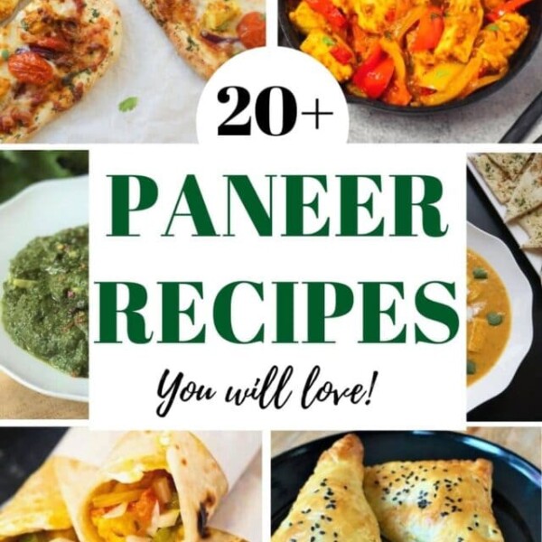20+ best paneer recipe collection
