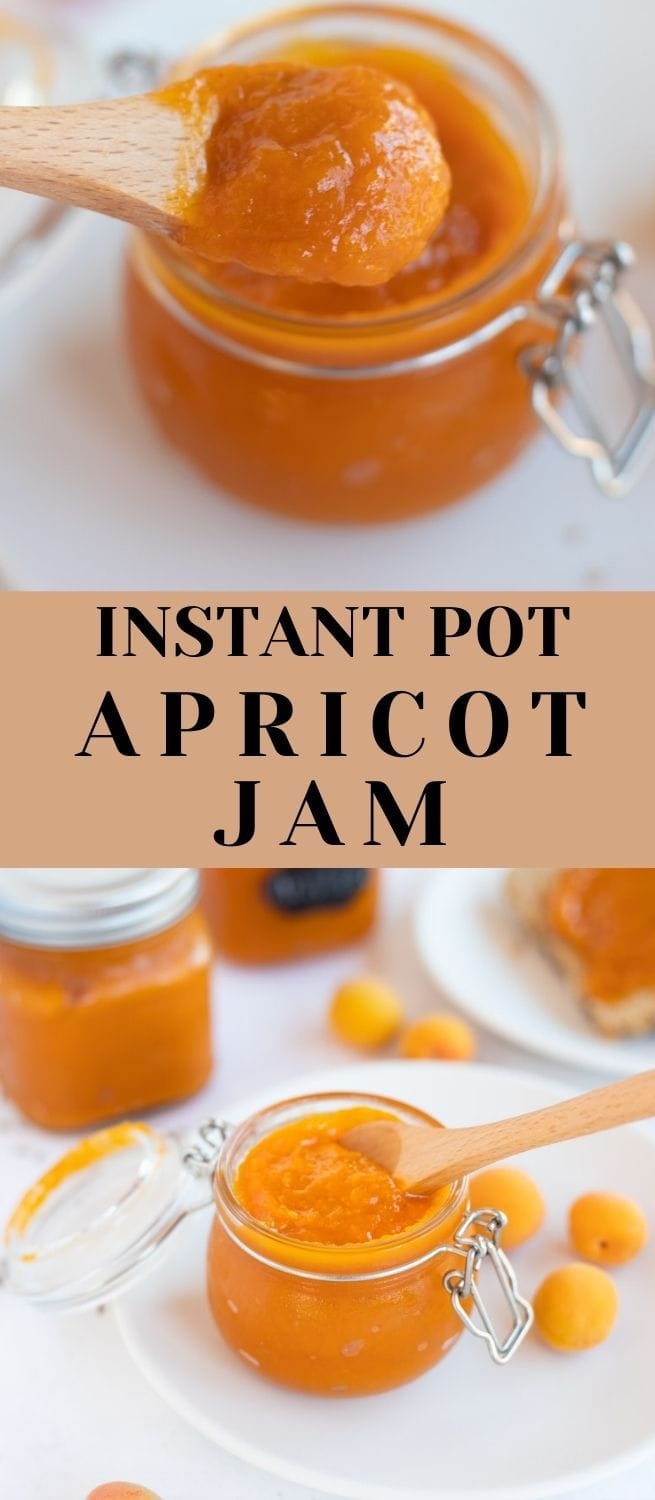 Instant Pot Apricot Jam Piping Pot Curry