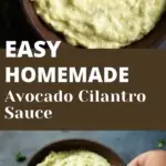 Creamy Avocado Cilantro Sauce