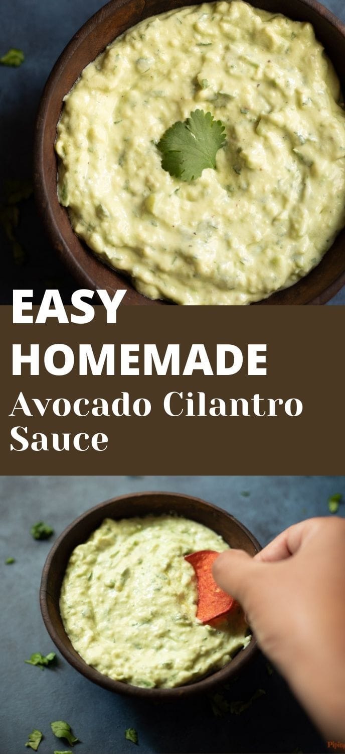 Creamy Avocado Cilantro Sauce Piping Pot Curry