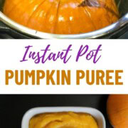 Homemade pumpkin puree using instant pot