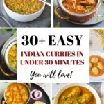 30+ Easy Indian Curries In Under 30 minutes