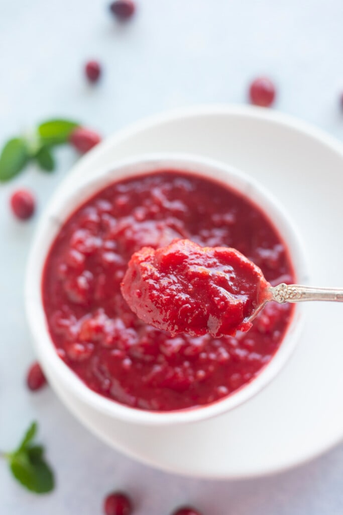 Delicious red cranberry apple chutney in a bowl and spoon