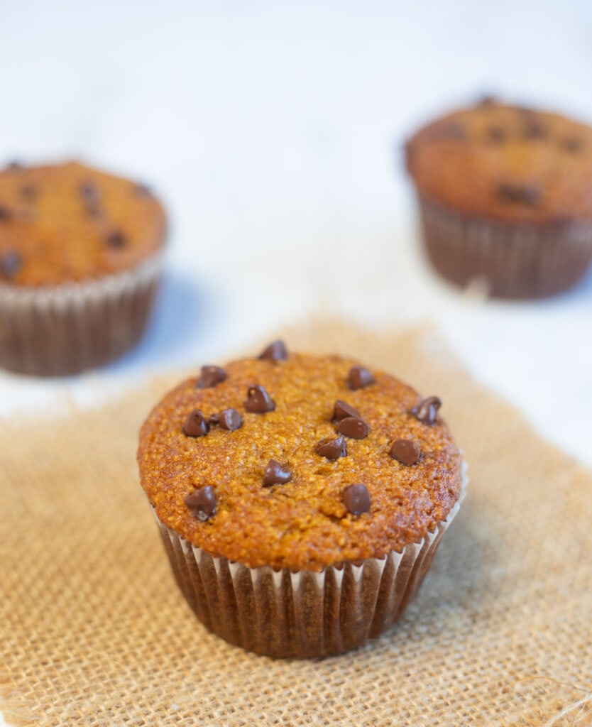 Pumpkin muffins made with almond flour and topped with chocolate chips 