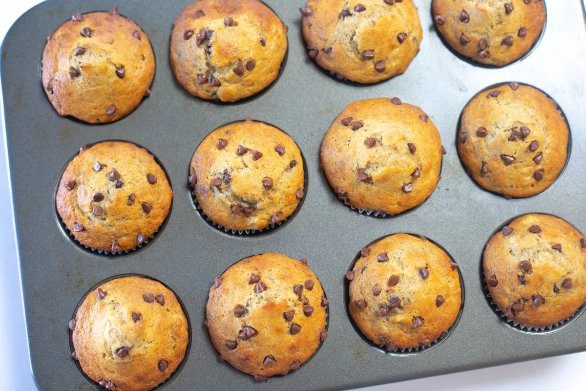 The best Banana Chocolate Chip muffins ready out of the oven