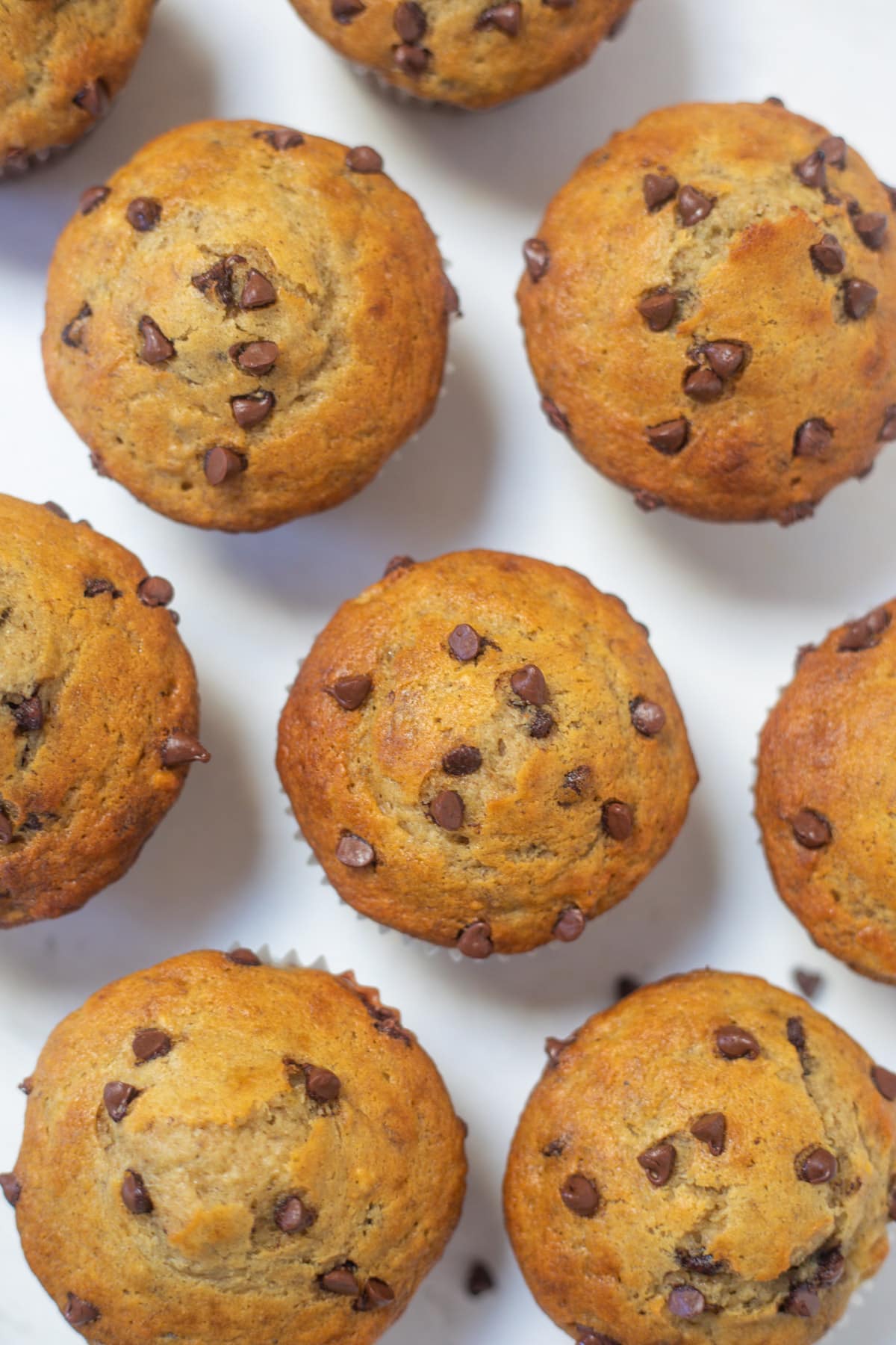 Moist banana chocolate chip muffins on a table  