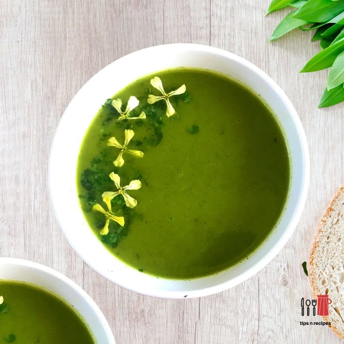 green soup in a white bowl