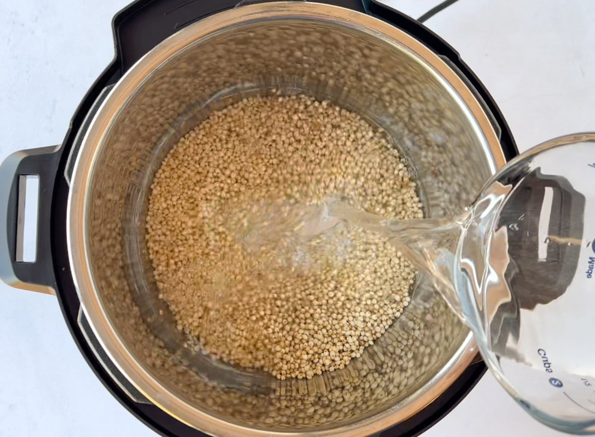 Sorghum to be cooked in the pressure cooker 