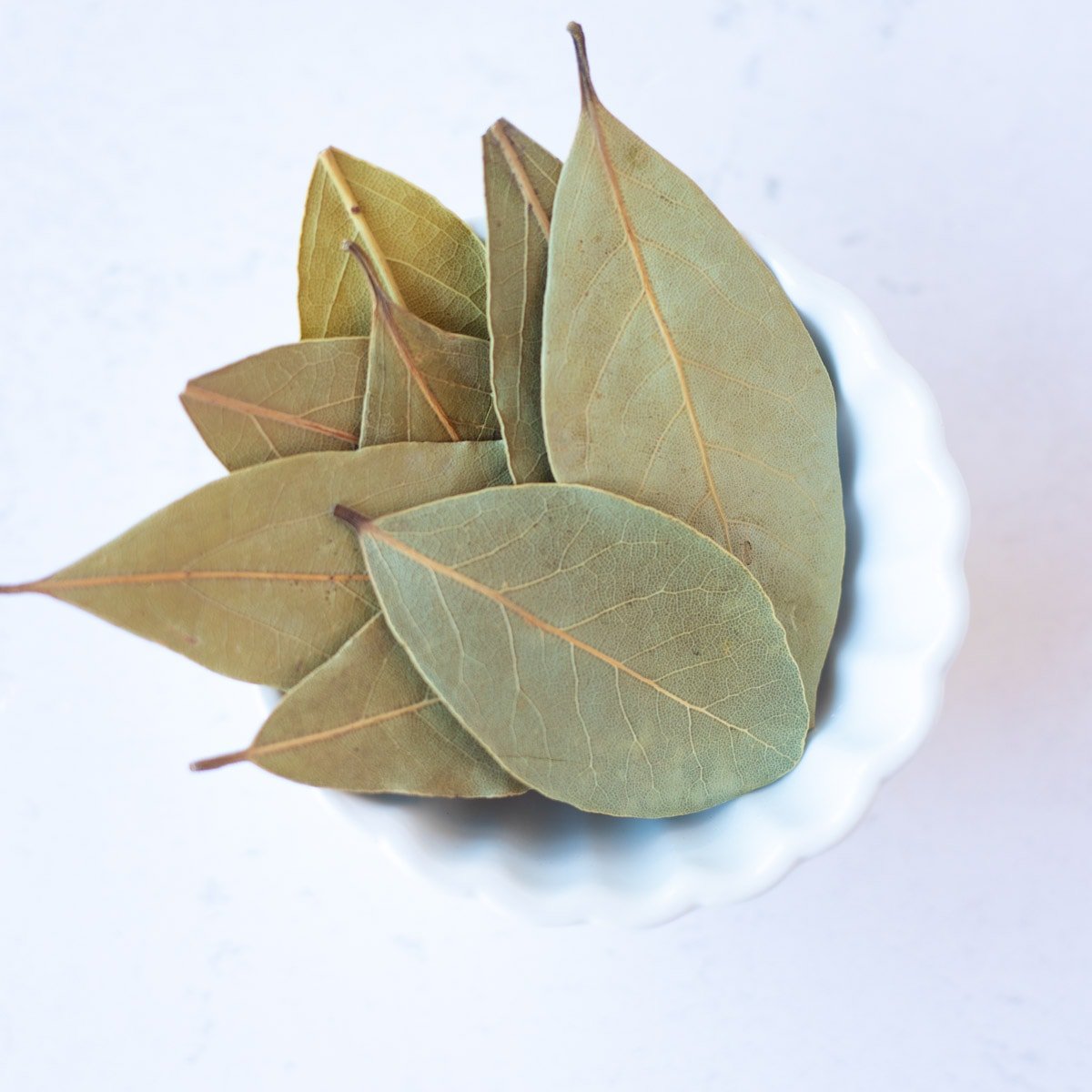 Bay leafs in a small white bowl