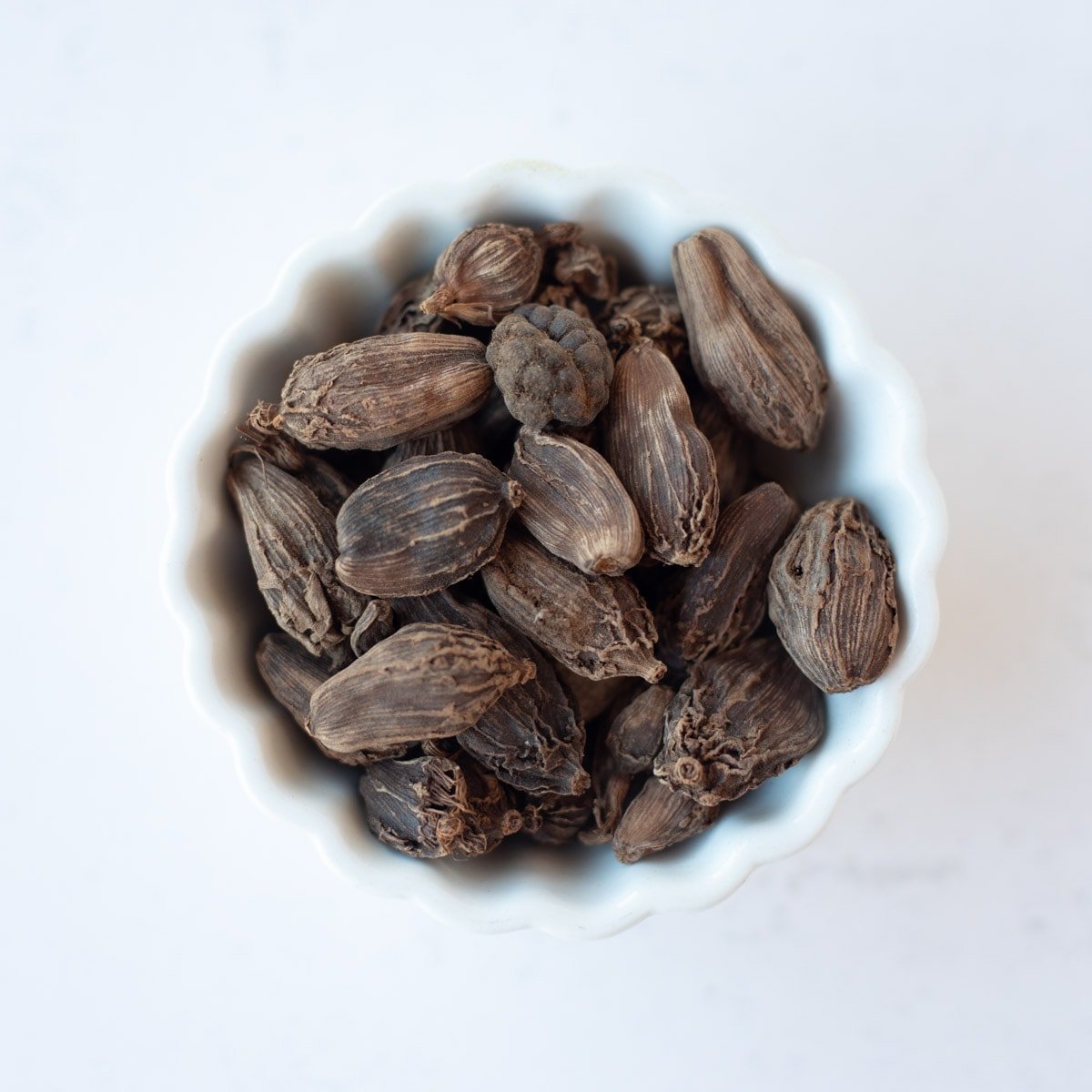 black cardamom in a small white bowl.