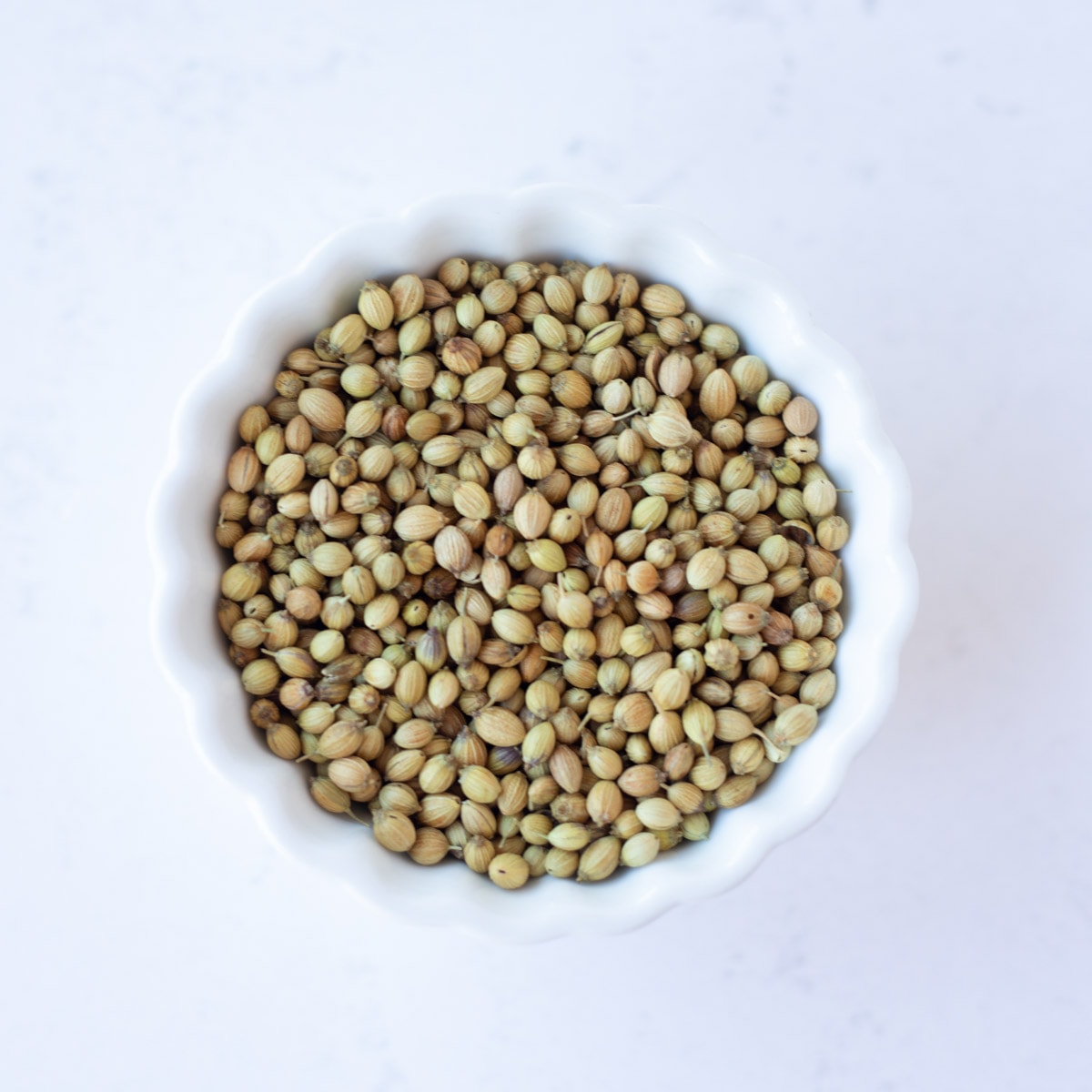 Coriander seeds in a small white bowl