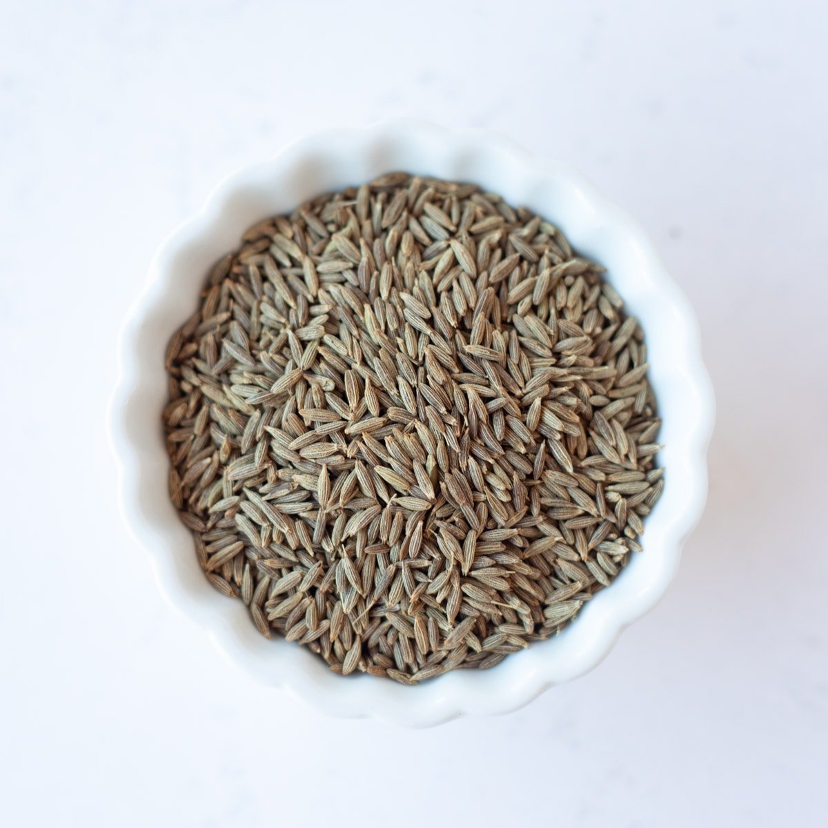 Cumin seeds in a white small bowl
