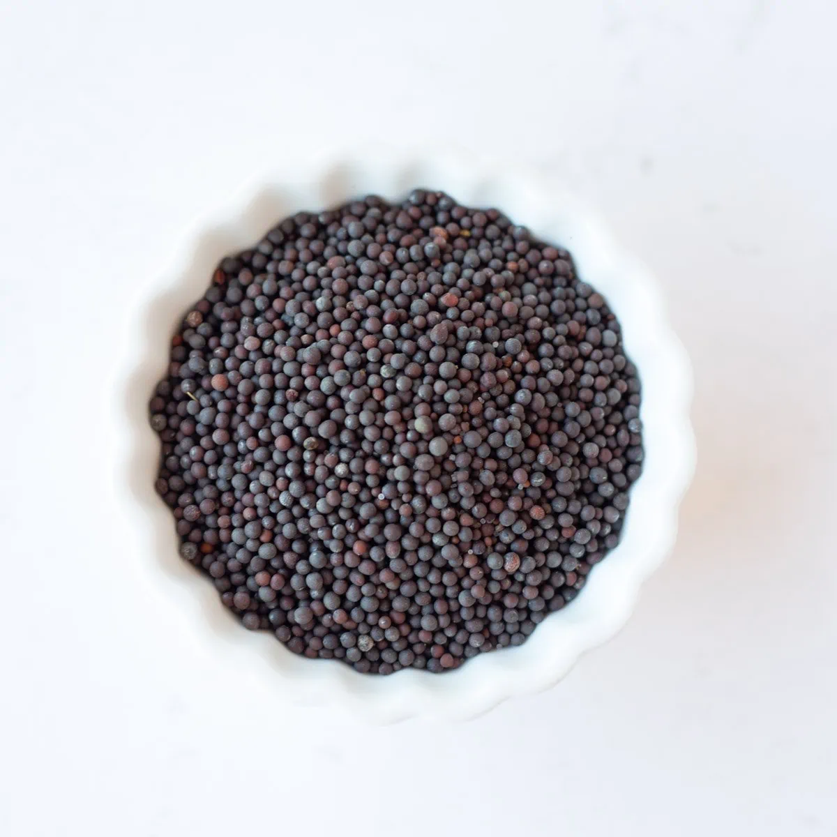Mustard seeds in a small white bowl