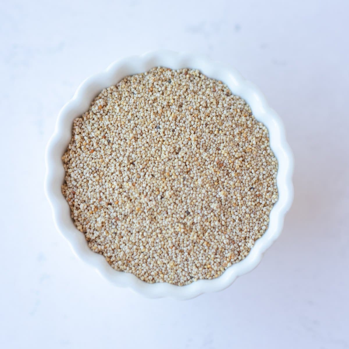 Poppy seeds in a small white bowl.