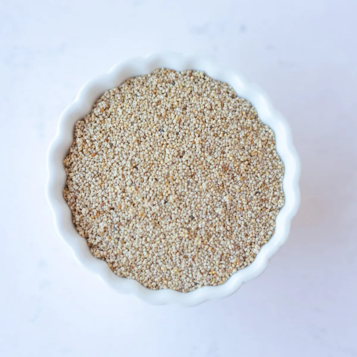 Poppy seeds in a small white bowl.