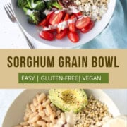 Vegan Sorghum Grain Bowl - 74