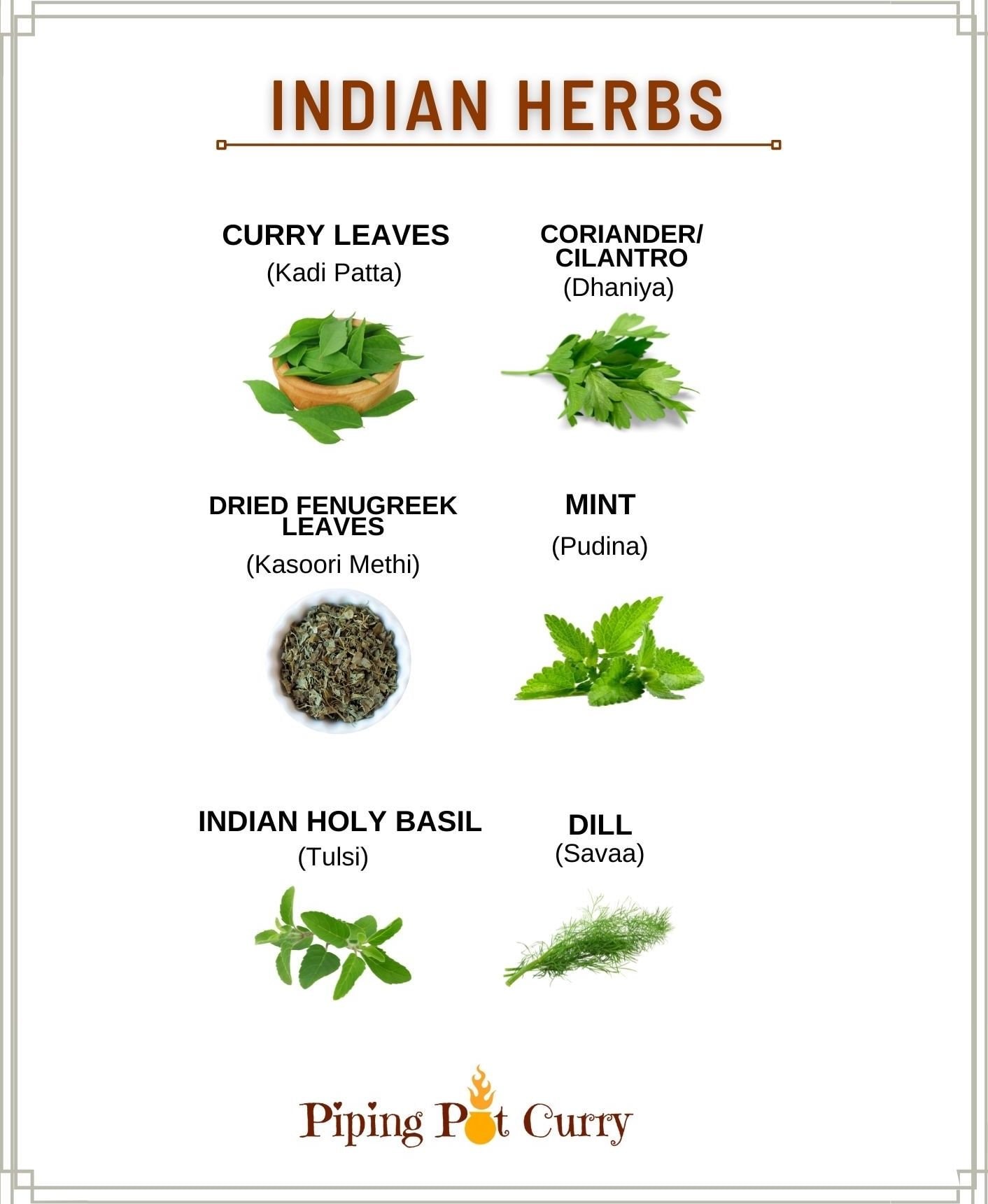 Indian herbs images and names in English and hindi