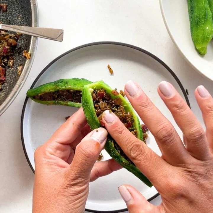 stuff karela using hand