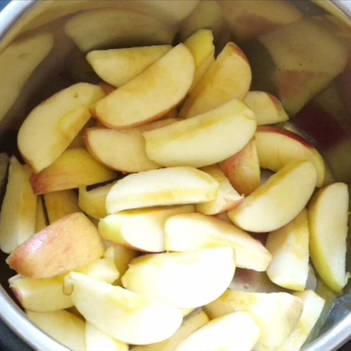 Place apple in Instant Pot