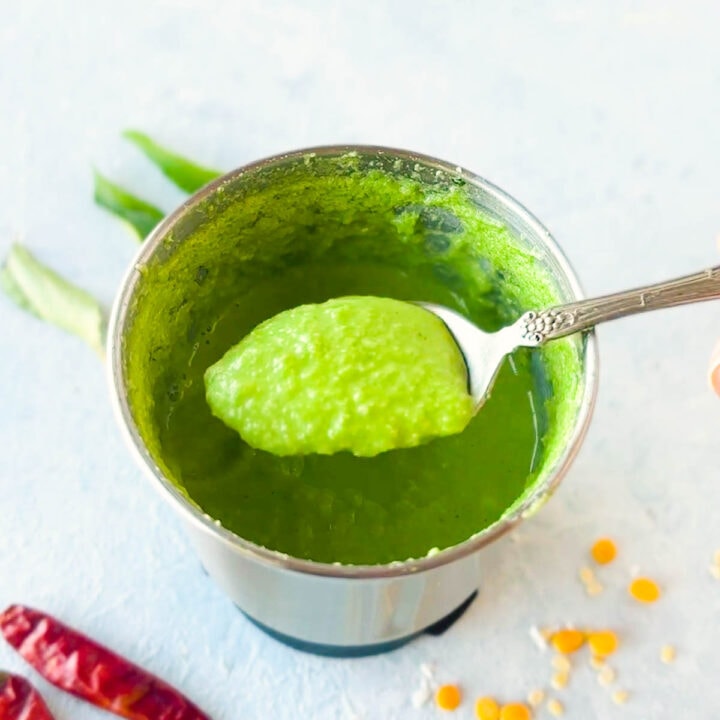 blended Coconut Coriander Chutney in a spoon