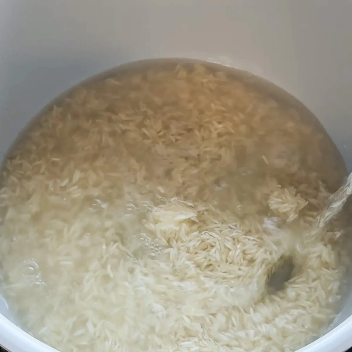 add water to the rice in the pot