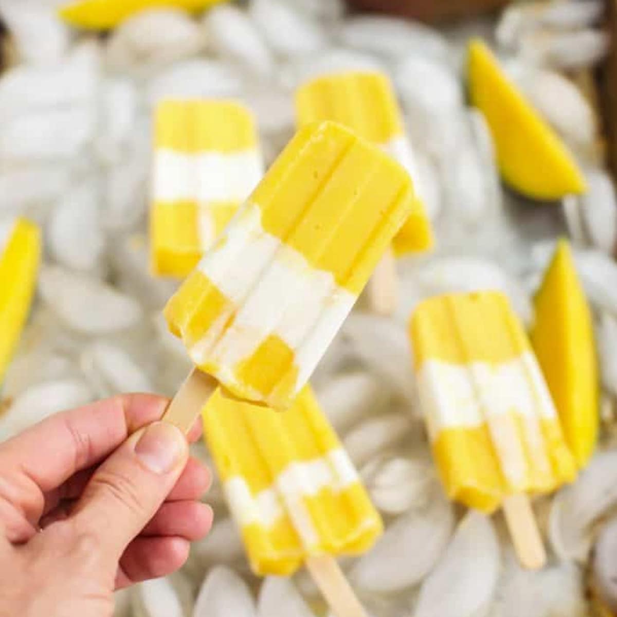 mango popsicles up close