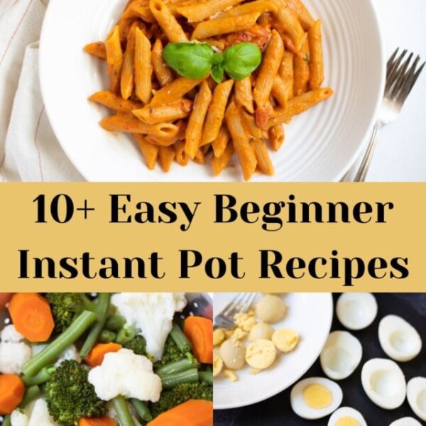 instant pot beginner recipe collection
