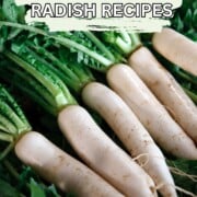 Indian Radish recipes