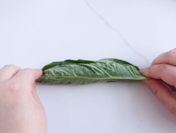 Roll stacked basil leaves to chiffonade