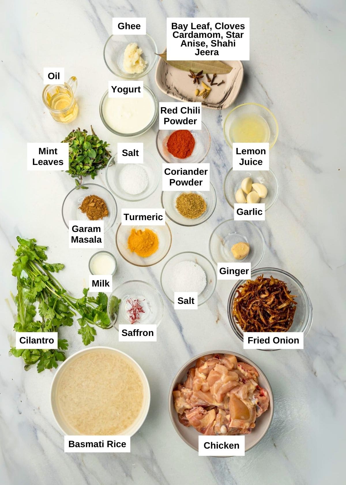Ingredients you'll need for Chicken Biryani