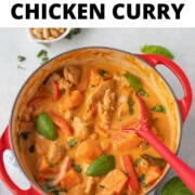 Pumpkin chicken curry in a pot