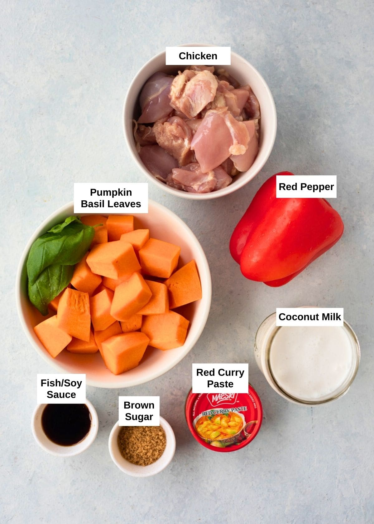 Ingredients to make thai pumpkin chicken curry 