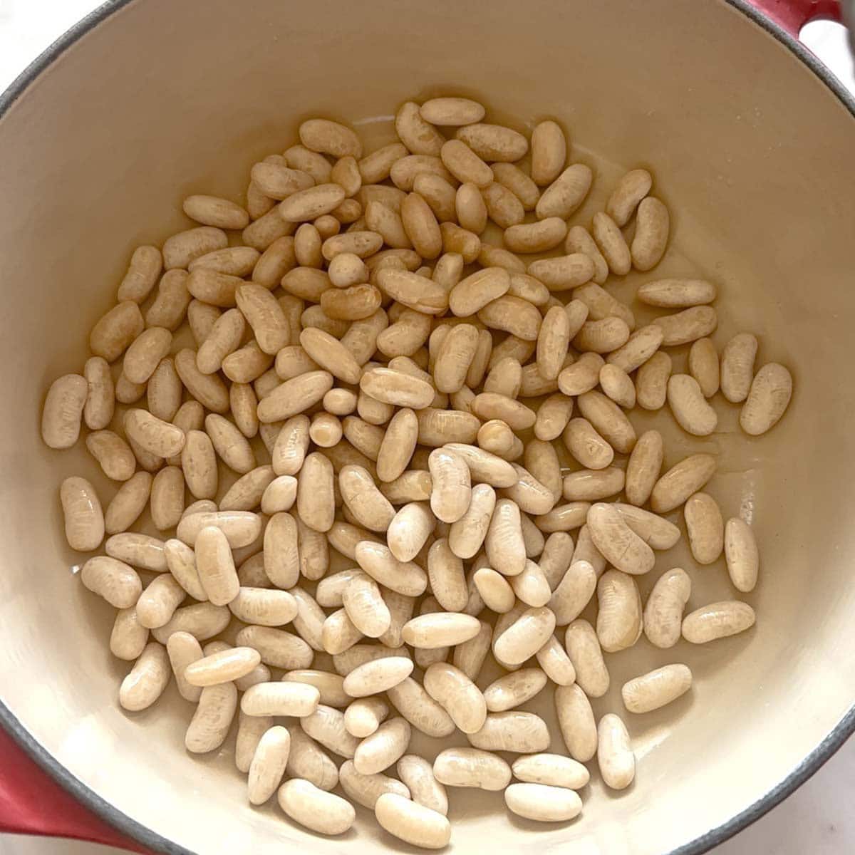 How to cook White Beans  - 13