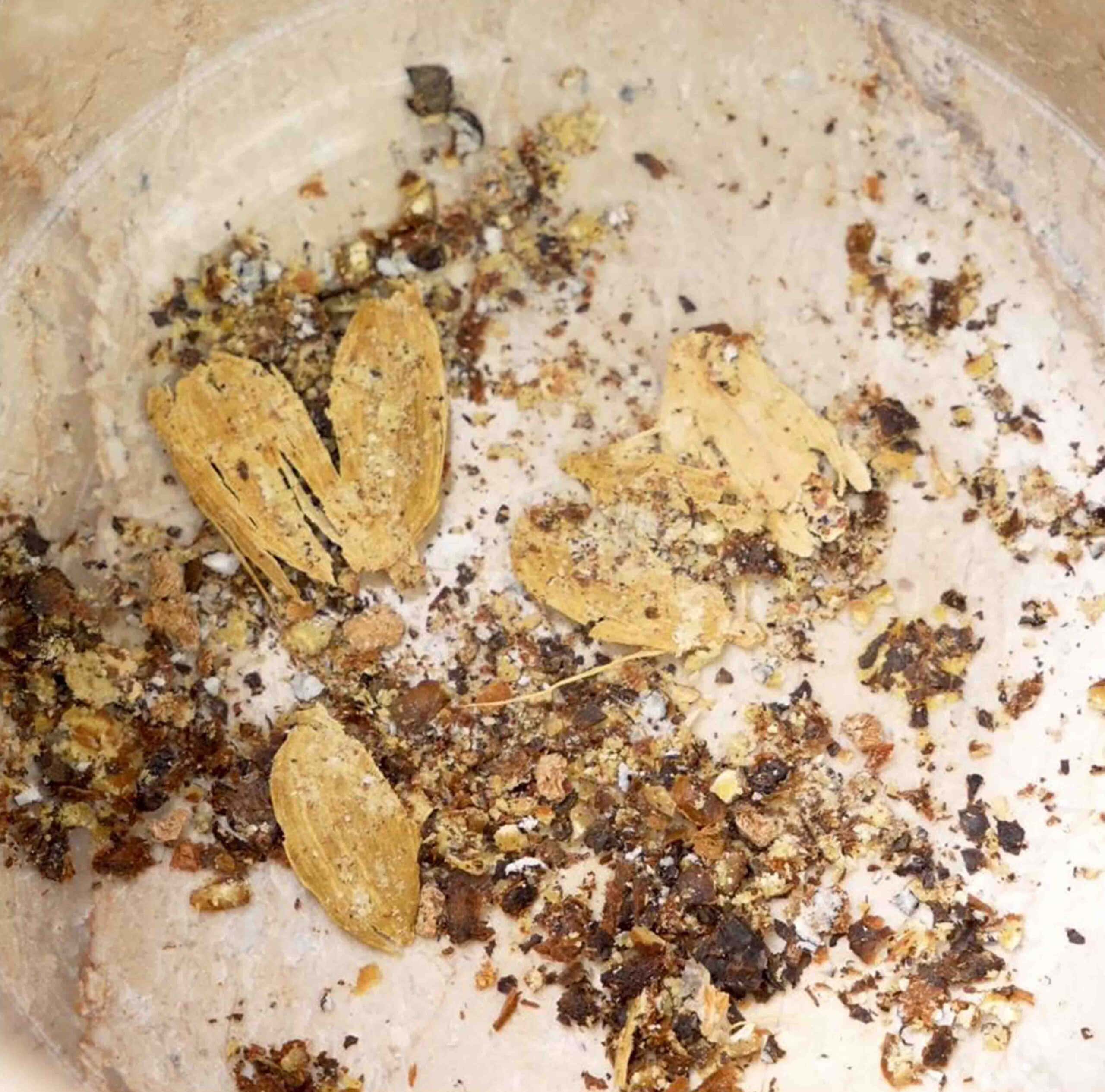 crushed whole spices using mortar and pestle for haldi doodh recipe