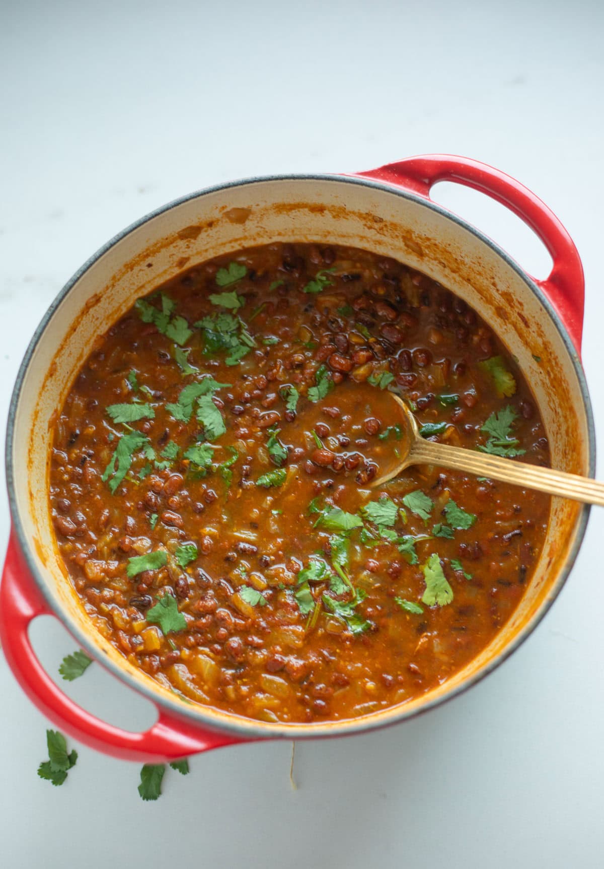 top view of adzuki bean curry topped with cilantro