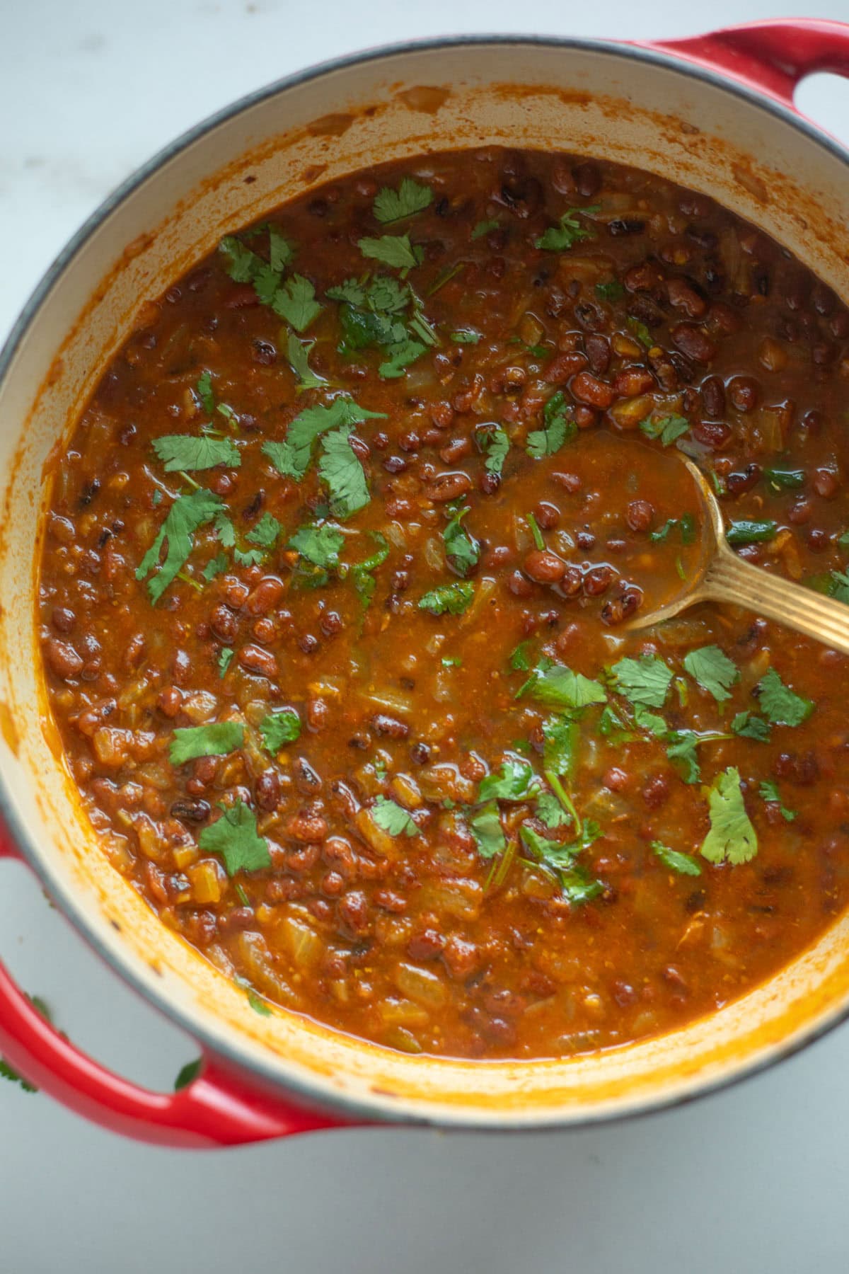 Adzuki bean curry, topped with cilantro, in a pot