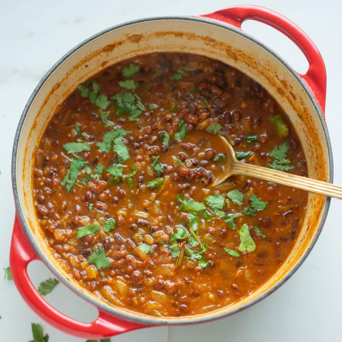 Ready to serve adzuki bean curry in a pot topped with cilantro leaves