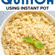 IP Quinoa