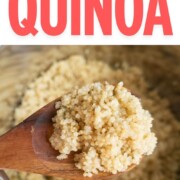 IP Quinoa